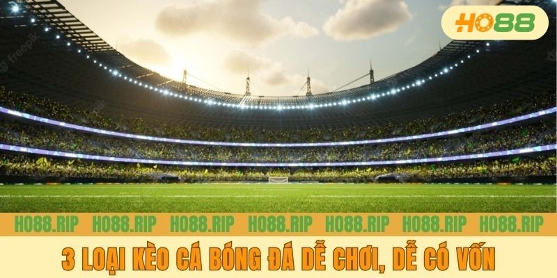 3 loại kèo dễ chơi, dễ có vốn
