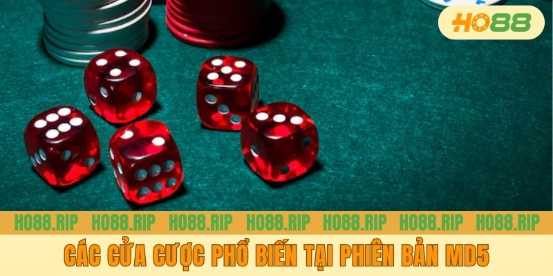 Các cửa cược phổ biến tại phiên bản MD5