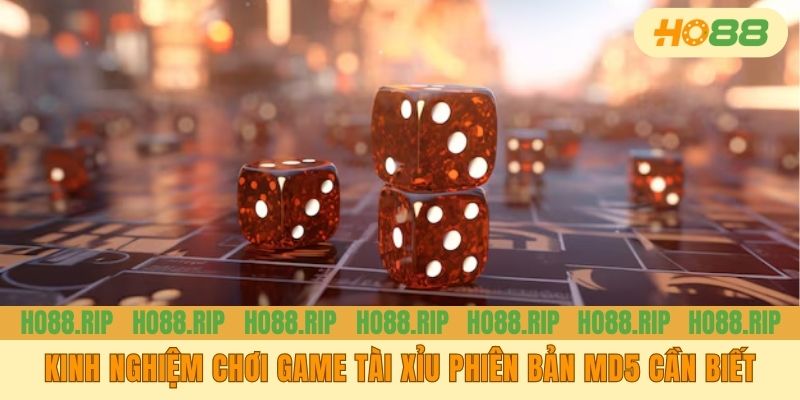 Kinh nghiệm chơi game tài xỉu phiên bản MD5 cần biết