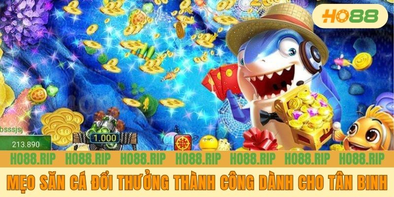 Mẹo săn cá đổi thưởng thành công dành cho tân binh