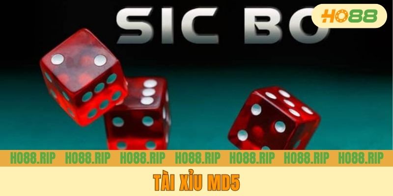 Tài Xỉu Md5 - Thông Tin Chi Tiết Nhất Về Tựa Game Đình Đám