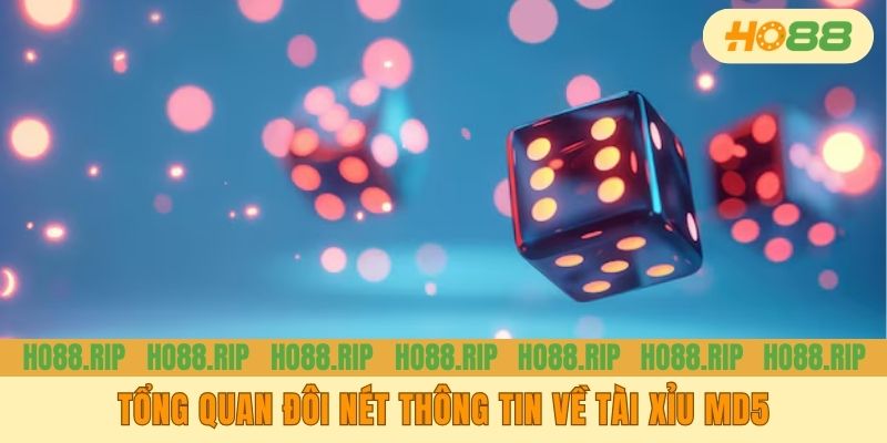 Tổng quan đôi nét thông tin về tài xỉu MD5