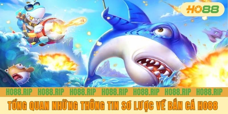 Tổng quan những thông tin sơ lược về bắn cá HO88