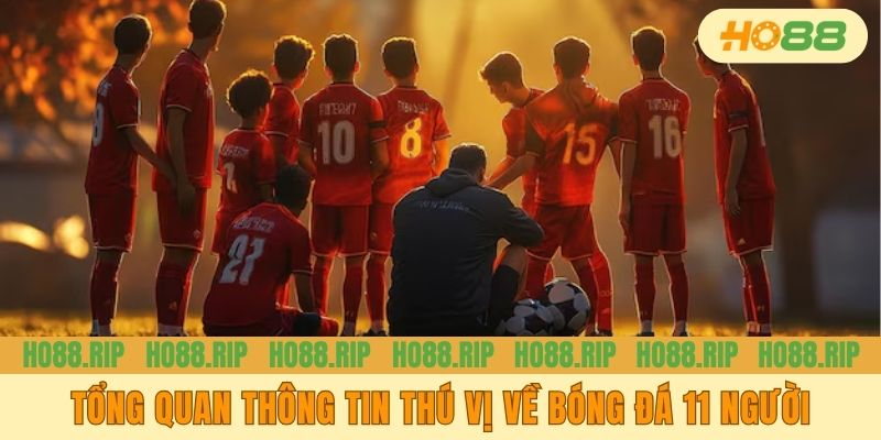 Tổng quan thông tin thú vị về bóng đá 11 người