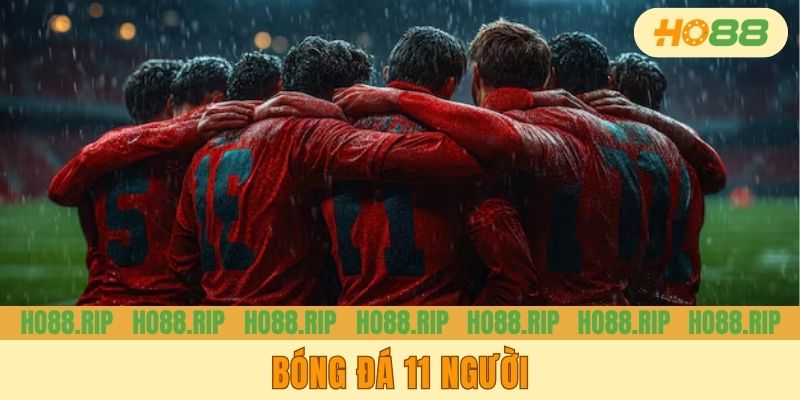 Những Thông Tin Newbie Cần Nắm Về Đội Hình Bóng Đá 11 Người