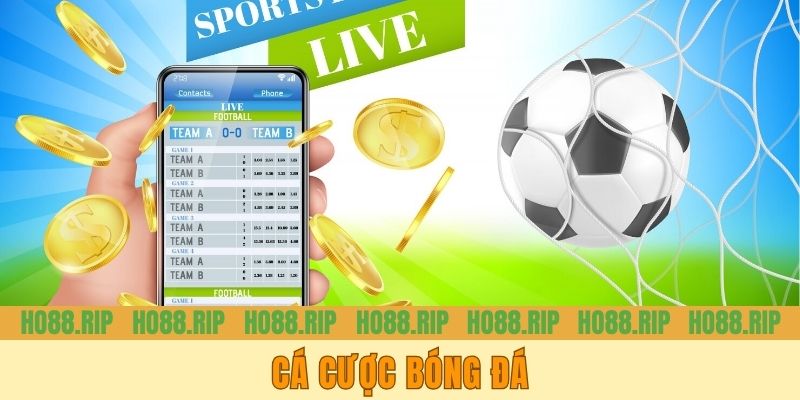 Cá Cược Bóng Đá | Cách Chơi Bộ Môn Thể Thao Hot Nhất 2025
