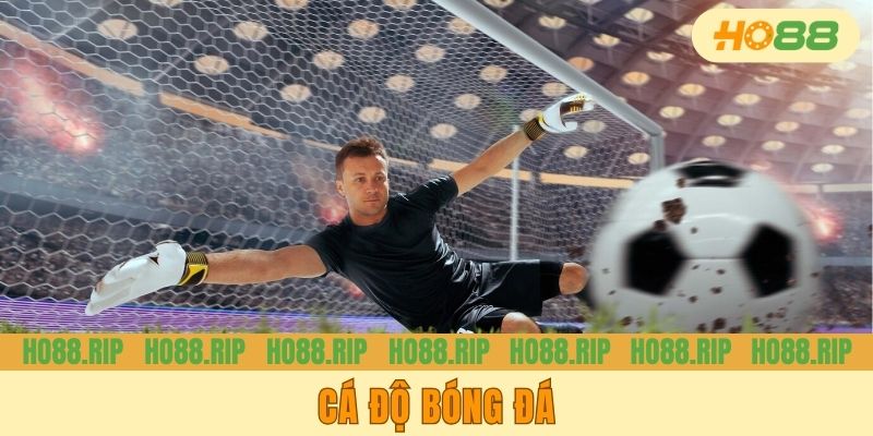 Cá Độ Bóng Đá - Loại Hình Giải Trí Top 1 Làng Đỏ Đen 2025