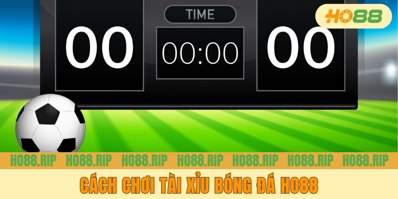 Cách Chơi Tài Xỉu Bóng Đá HO88 - Hướng Dẫn Cho Người Mới