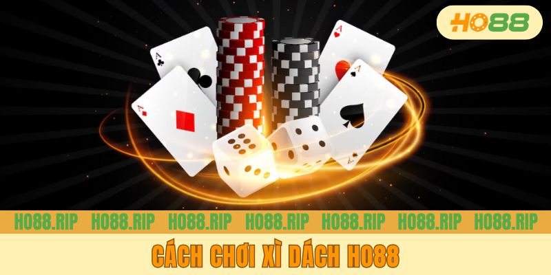 Cách Chơi Xì Dách Ho88 Chi Tiết Và Tuyệt Chiêu Bào Nhà Cái
