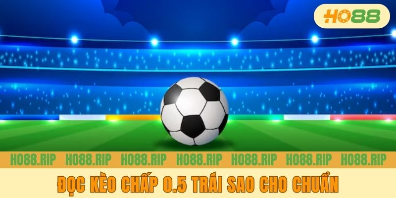 Đọc kèo chấp 0.5 trái sao cho chuẩn