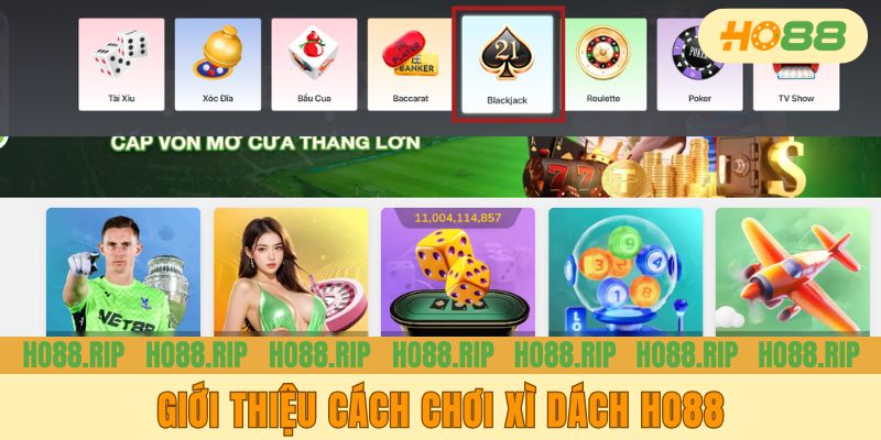 Giới thiệu cách chơi xì dách Ho88
