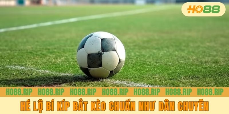 Hé lộ bí kíp bắt kèo chuẩn như dân chuyên