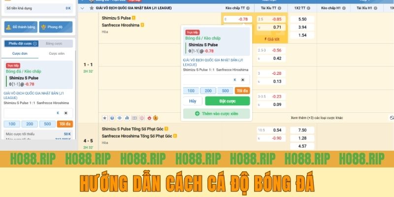Hướng dẫn cách cá độ bóng đá