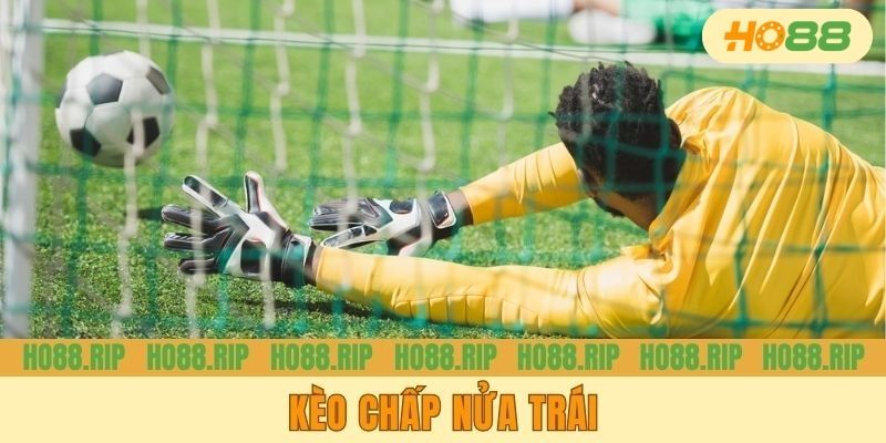 Kèo Chấp Nửa Trái | Cách Vào Tiền Chuẩn Tại HO88 Chỉ Có Đớp?