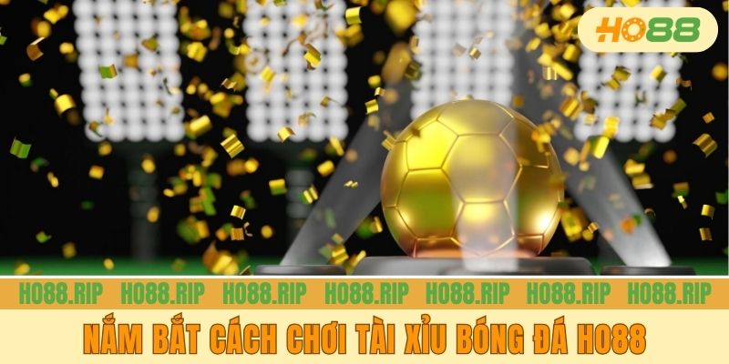 Nắm bắt cách chơi tài xỉu bóng đá HO88