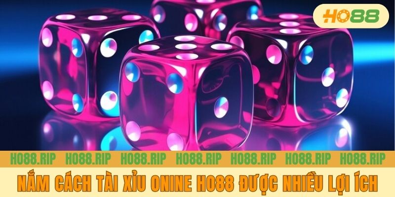 Lợi ích khi nắm vững cách tài xỉu online Ho88