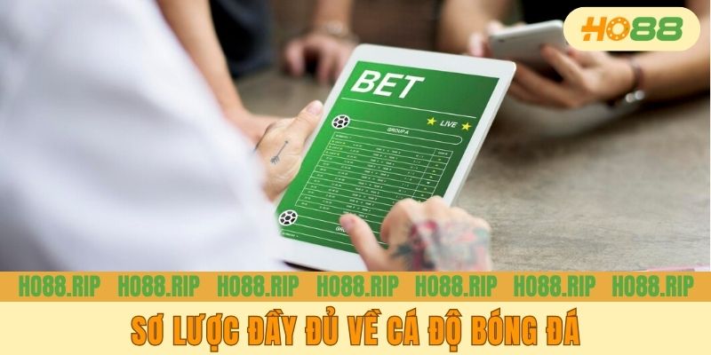 Sơ lược đầy đủ về cá độ bóng đá