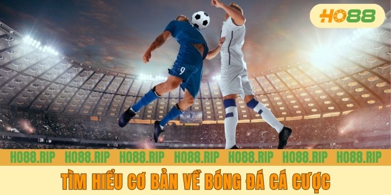 Tìm hiểu cơ bản về bóng đá cá cược