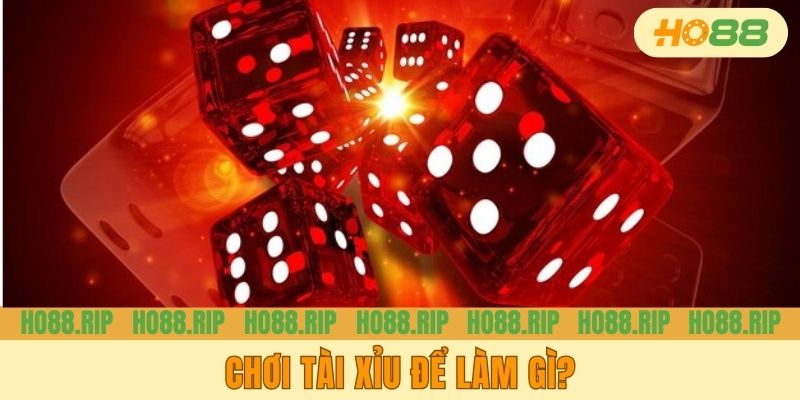 Chơi Tài Xỉu để làm gì?