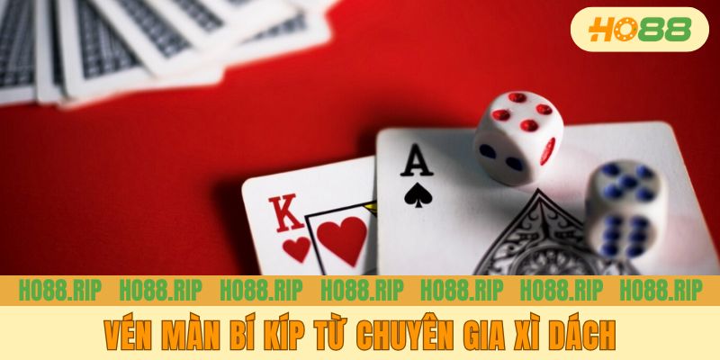 Vén màn bí kíp từ chuyên gia xì dách